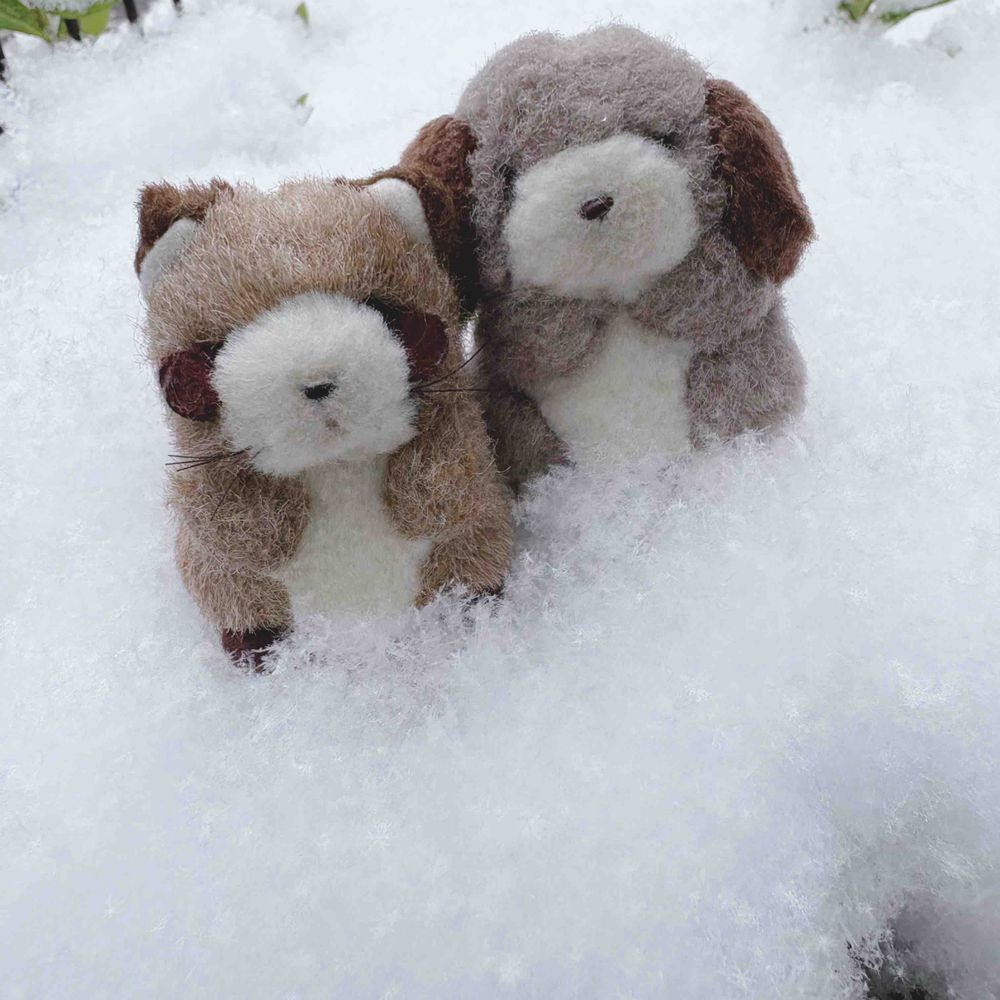 このまえのゆき、とーってもわくわくしちゃった〜⛄️❄️
ゆきのけっしょうがカメラにも映るくらい、ふわふわ、きれーいな雪‎🤍
でも、おおゆきでたいへんなちいきもあるってきいてるからしんぱいだ…