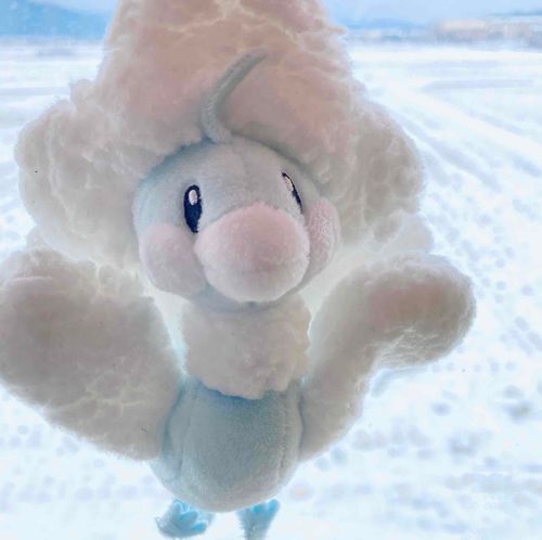 積もった❄️