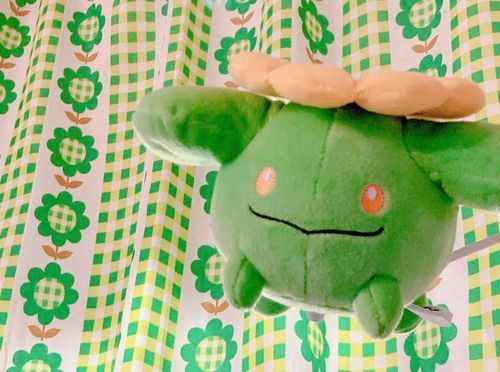 ふわふわ