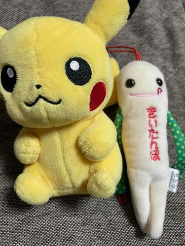 ピカちゃんと一緒ピカ