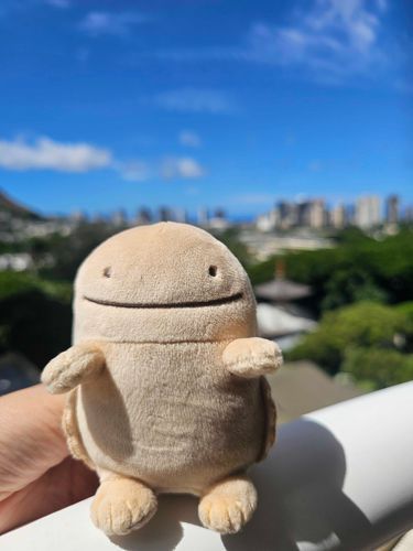 おはよう☀️
