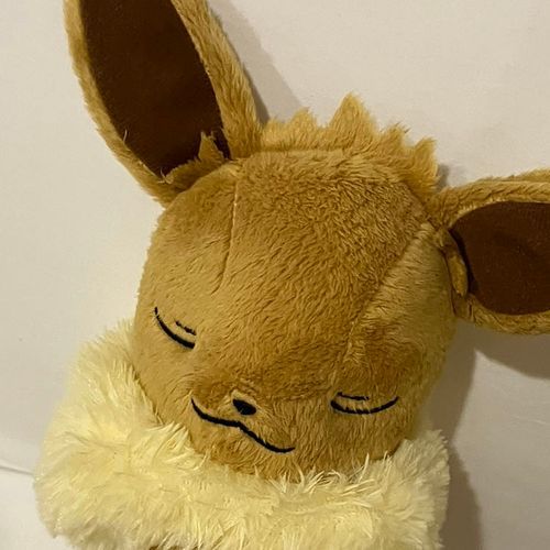 ぶい！
（よろしくね）