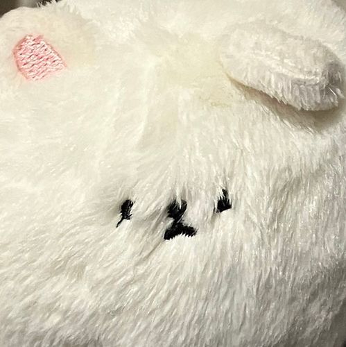 かいぬしについていってはげましてる。