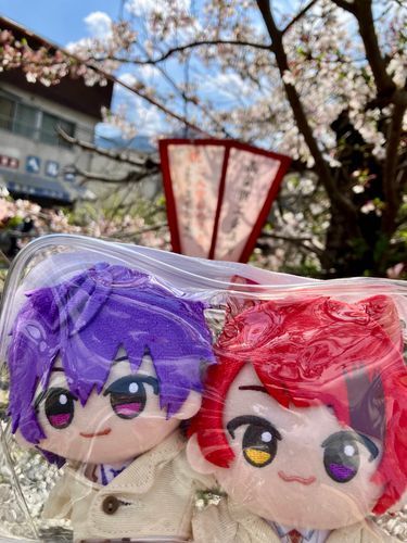 〈思い出〉
桜がきれい……
花見っていいよね……🌸✨