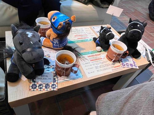 ばしともさんの所の、レモンくんとアズールくんと
大きな馬の写真は、カレンラップスターくん。セントポーリア賞頑張ってたよ！これから、もっと強くなって欲しいね！