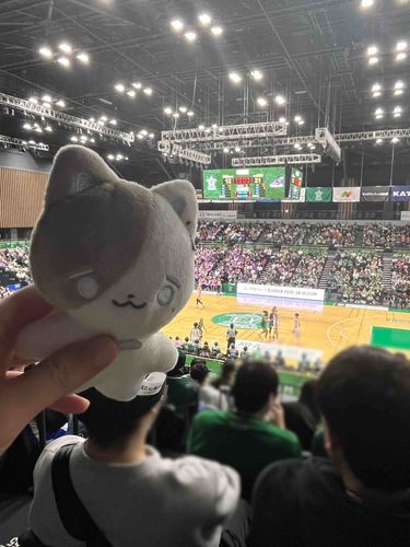 バスケットボールの試合を見てきたよ