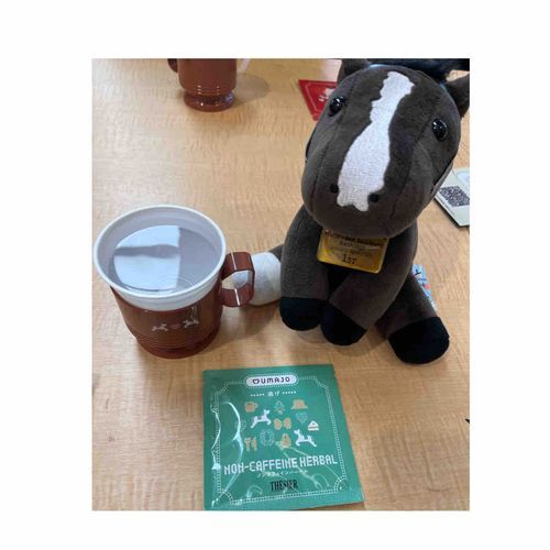 東京競馬場にいってきました！
みんな、がんばってた！