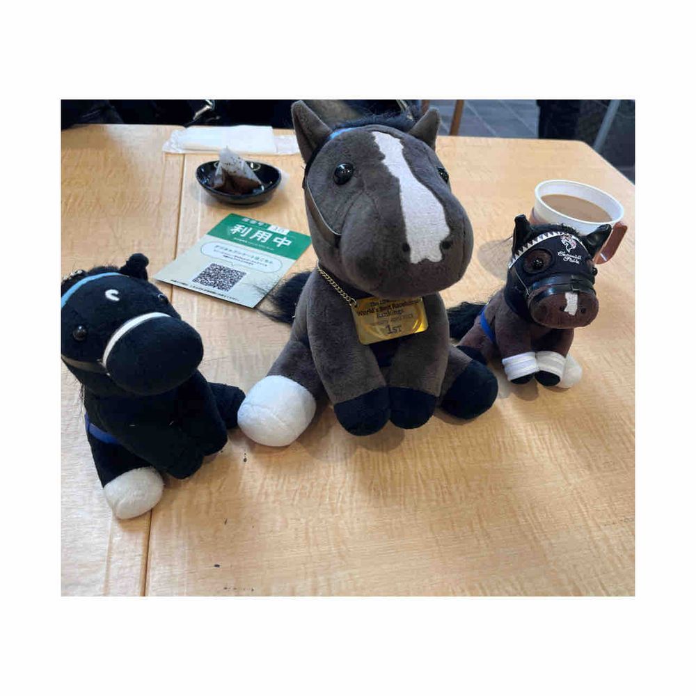 東京競馬場にいってきました！
みんな、がんばってた！