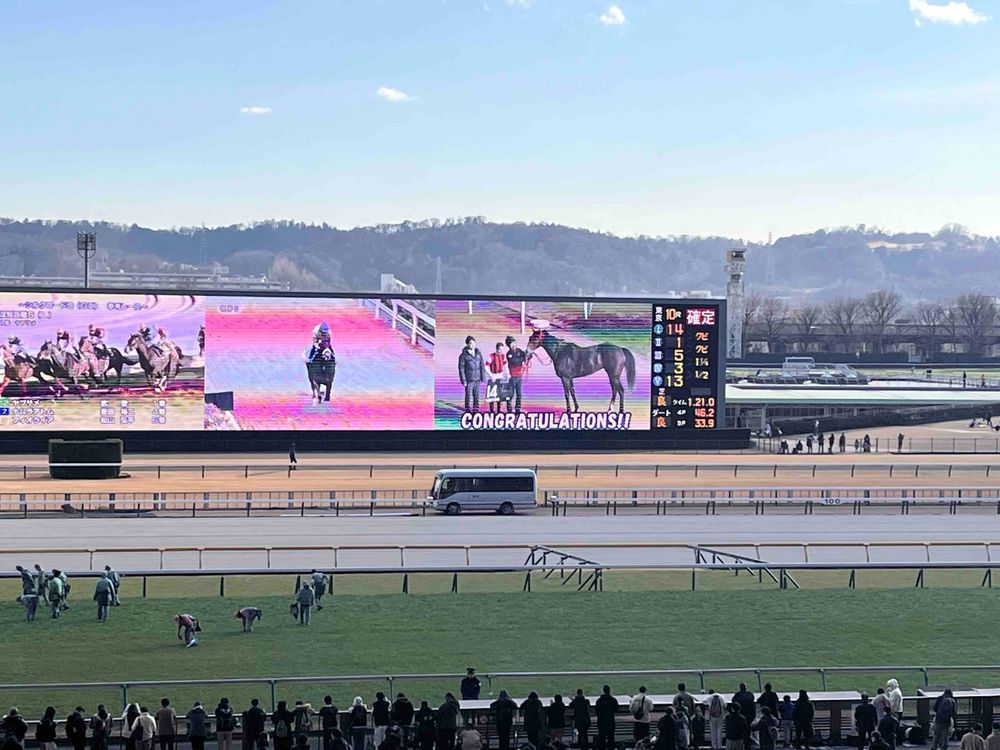 東京競馬場にいってきました！
みんな、がんばってた！