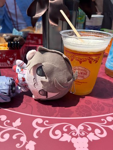 ディズニーシーに行ったよ
ちょうど、にじフェスの日だったから、ぬい持ってる人たくさんみた