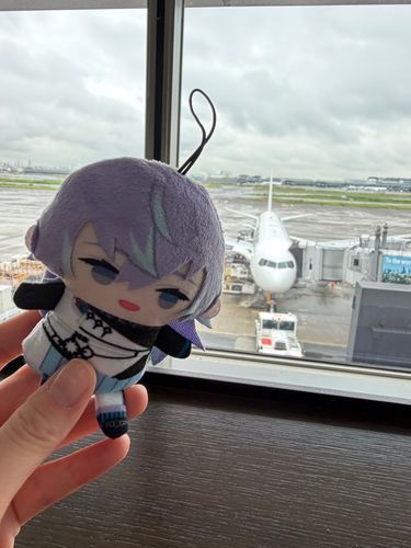 飛行機乗った