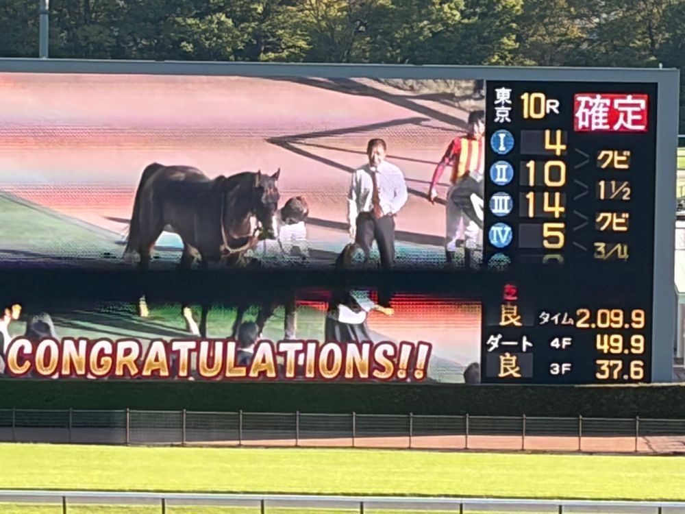 競馬場に行ったよ！
ゆういち、がんばってたね！
