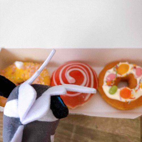 🍩