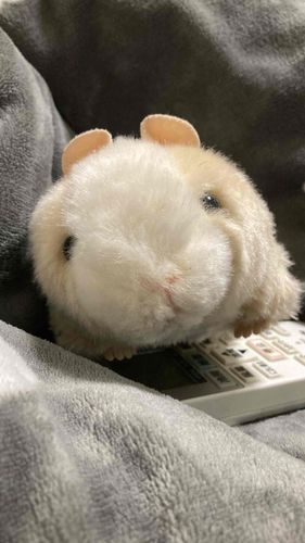 かいぬしのエアコンはぼくがまもるよ