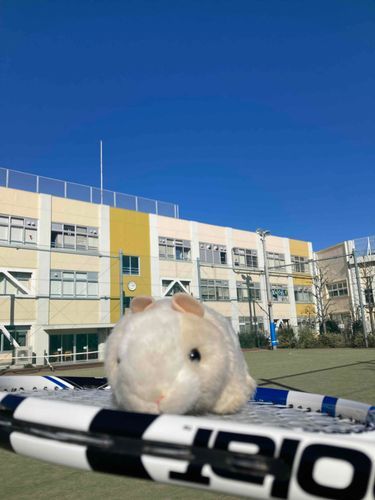 かいぬし、ラケットにぼくをのっけてカシャカシャしてた