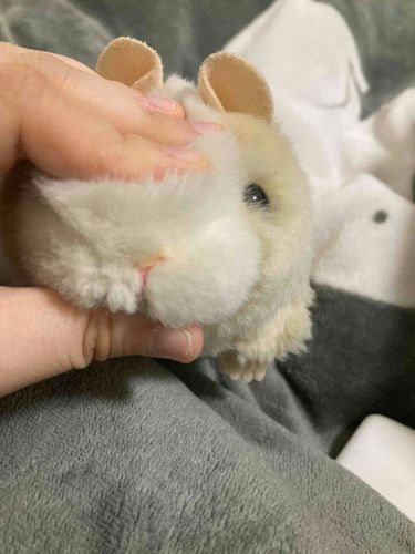 むぎゅ。