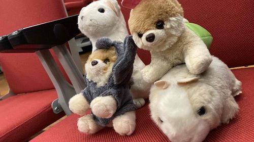 かいぬしのかいじょういりリハーサル、ぼくたちもきたよー！！