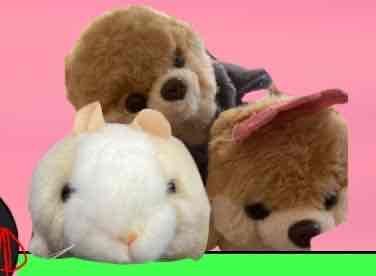 ぼくたち、TRPGせっしょんでへやにおかれたよ