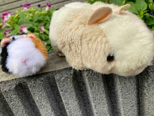 おひさしぶりだね！ぼくだよ。
さいきんあたらしいおともだちのユウスケちゃんがふえたんだ！
まいにちとってもたのしいよ