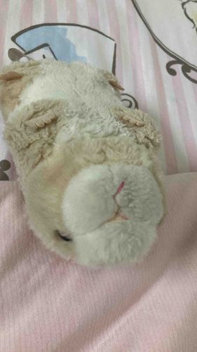 かいぬしのじっかは
とてもすずしいよ！
ぼくもいちばんすずしいところで
すやすやしてたんだ