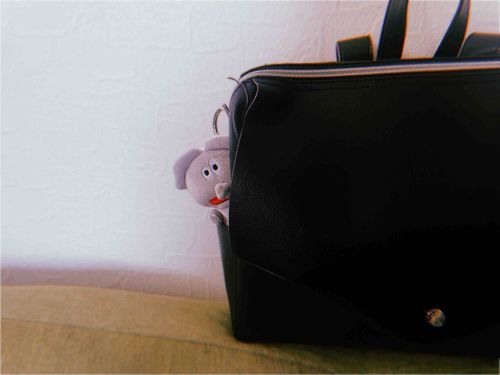 職場に同行していただけるとのこと