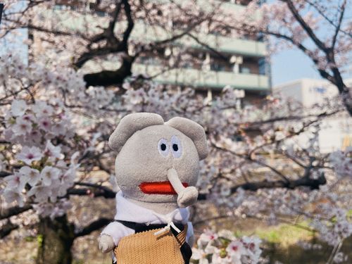 あたたかパオ