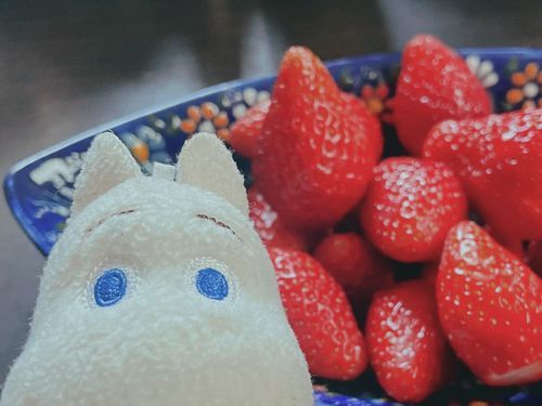 いちごが嬉しいムーミン