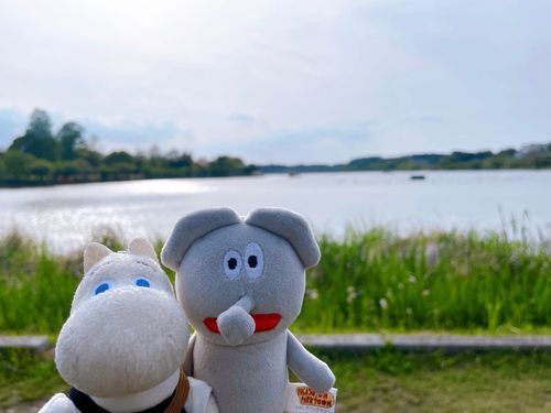 湖にきました