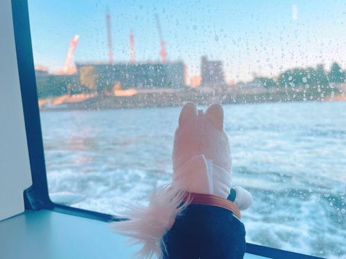 水上バスに乗りました