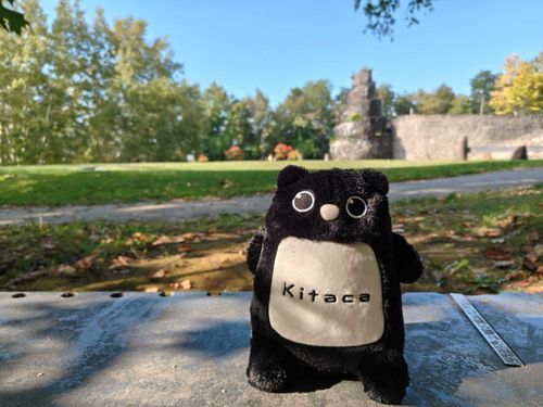 石山緑地に来たよ。自然に囲まれてKitacaくんもなんだか嬉しそう！