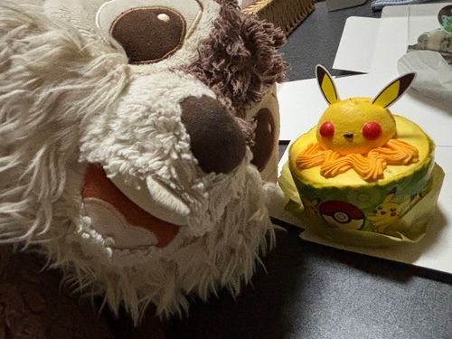 ちっぷぷ！
ピカチュウのケーキ食べたぷ！