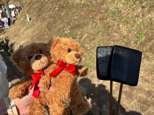 びびちゃんび！
みみちゃんと、桜まつりに行ってきたび！
久しぶりに行ったびけど、やっぱり黒いこんにゃくは外せないびよね〜！！