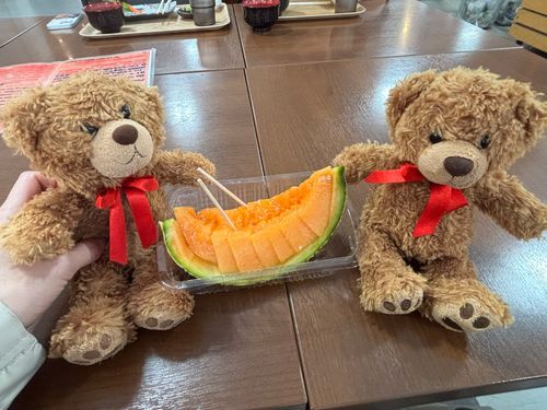 びびちゃんび！
函館の朝市で、メロンも食べたび！
甘くてうまうまび〜🥳🥳