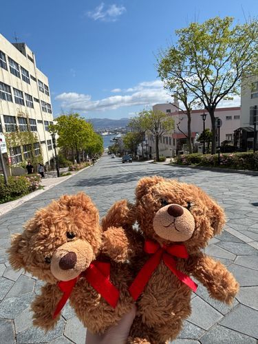 びびちゃんび！
とっても天気がよい日に函館に行けて良かったびー！！！
八幡坂から、綺麗な海が見えたびよー！！
