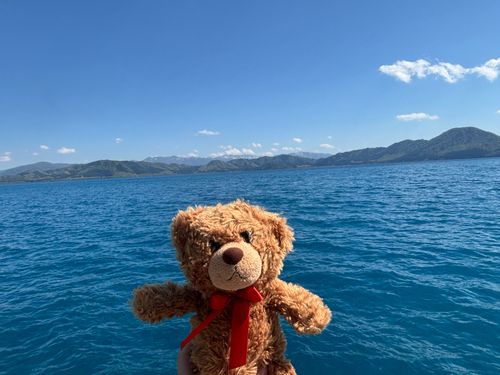 びびちゃんび！
クニマスのふるさと、田沢湖に行ってきたびー！
天気がめちゃくちゃ良くて、湖の色もとっても綺麗び！
こんなに綺麗な色は初めて見たびー！