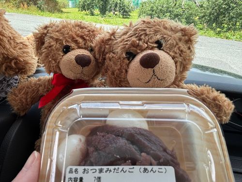 びびちゃんび！
この前、ニンゲンが大好きなさくらんぼ🍒買いに行ってきたび！
そこで、うまうまなお団子買ってもらって食べたび！
甘すぎなくて、食べやすかったびー！
いつもさくらんぼ買いに来るところ、果物以外にもうまうまなものいっぱいあって嬉しいび🎶