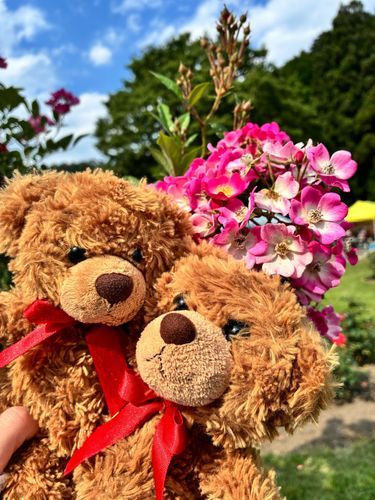 びびちゃんび！
バラ園はめちゃくちゃ広かったび！
バラもたくさんの種類があって、楽しかったび！
花びらの形も色も、いろんなバラがあるんびね〜！