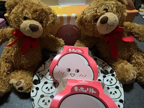 びびちゃんび！
今話題のもっちゅりん食べたび！
みたらしときなこを半分こして食べたんびけど、びびはきなこが好みだったび！·͜·ᰔᩚ