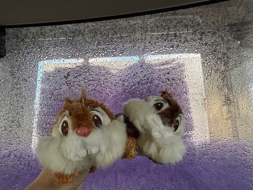 でゆでゆ！
ニンゲンの車が洗われたでゆー！！！！！
