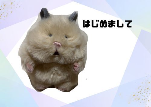 はじめまして でち！
きのう おむかえ された でち！
きなこ っていう でち！
よろしく でち！

ニンゲンから↓↓↓
やっとはむにぎりの子をお迎えできました〜✨
ずっと探してたのですが、なかなか出会えず……
きなこ2匹しか居なかったのですが、びびっと来る子の方をお迎えしました！
よろしくお願いします！