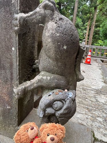 びびちゃんび！
岩木山神社にいた、逆さ狛犬び！
前に来た時は雪がいっぱいあって、なでなで出来なかったんびけど、今回は出来たびー！
しっぽの付き方がすごいび……