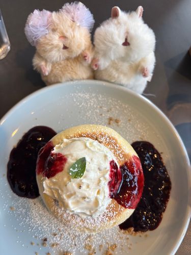 きなこでち！
新人のおこめちゃんと、ニンゲンとパンケーキ食べてきたでち！
ここのお店は芸人さんもおすすめなお店だったらしいでち！
ニンゲンは、今まで食べたパンケーキの中で1番ふわふわで美味かったって言ってたでち！