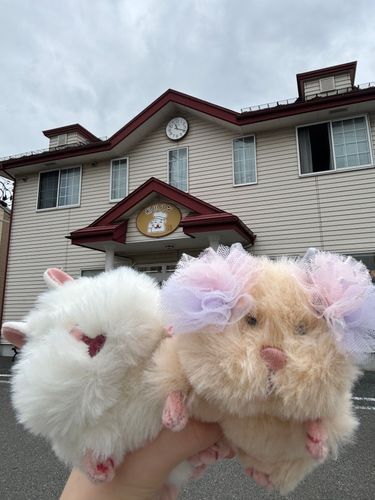 きなこでち！
この前のお休みに、福田パン買いに行ってきたでち！
前回は行ったらもう閉店してたでちから、早い時間にお店に行ったでち！
うまうまのパン、いっぱい買ってきたでち〜！