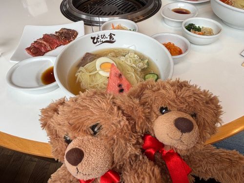 びびちゃんび！
ニンゲンと大好きな冷麺食べに行ったび！
初めてのお店だと思って食べてたんびけど、写真見たら去年も食べてたび笑
いつ食べてもうまうまびー！！！！！😋😋