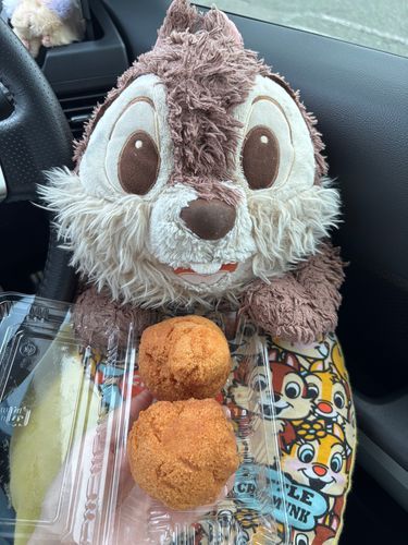 ちっぷぷ！
この前遊びに行ったお店に、九州から出店が来てたぷ！
サーターアンダギー買ってもらったぷ！
卵の味がしっかりしてたサーターアンダギーだったぷ！