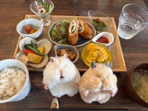 きなこでち！
ニンゲンのランチについて行ったでち！
どれもうまうまだったでちけど、特に真ん中のささみフライがうまうまだったでちー！！！！！！