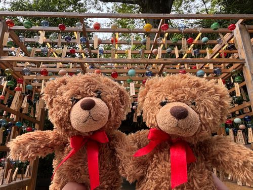 びびちゃんび！
川越氷川神社には、風鈴がたくさん飾られてたび！🎐🎐🎐
とっても綺麗だったび！