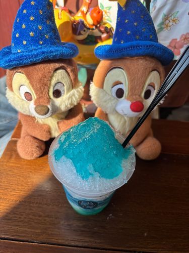 ちっぷぷ！
シーに住んでるチップとデールにも会ったんぷよー！！
その後、かき氷食べたぷ！
