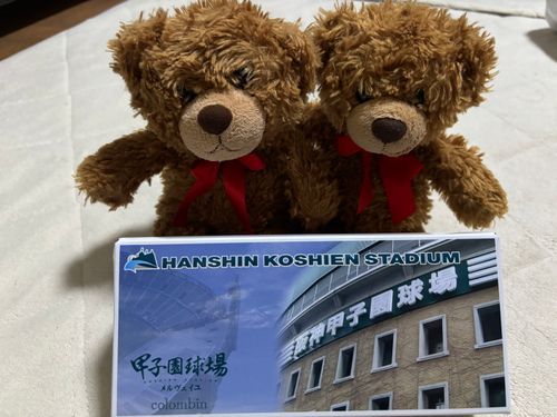 びびちゃんび！
ニンゲンのいとこが、甲子園に応援に行ってきたらしいび！⚾️
お土産貰ったび！
うまうまで、すぐ食べ終わったび！😋🍴✨
ニンゲンは、修学旅行で高速道路から甲子園の外側だけ見たことがあるらしいびよ！笑
