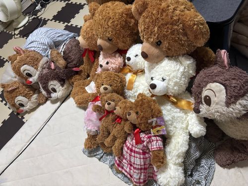 ちっぷぷ！
お友達大集合で、金ローのとなりのトトロ見た時の写真ぷ！
トトロはいつもみんなで集まって見るんぷ！
とっとくんとくまさんは、ニンゲンの実家で見てたぷよ！
ちなみに、とっとくんのお名前は、トトロからきてるんぷよー！